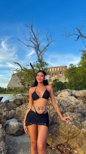 trans girl Bellsweet 2228975