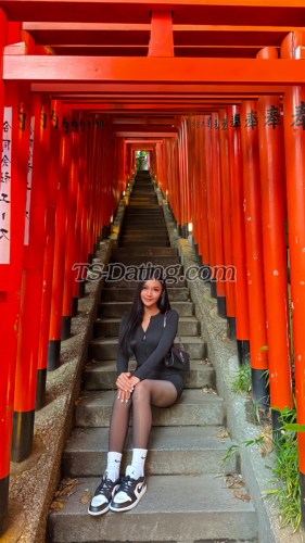 trans girl Bellsweet 8101975