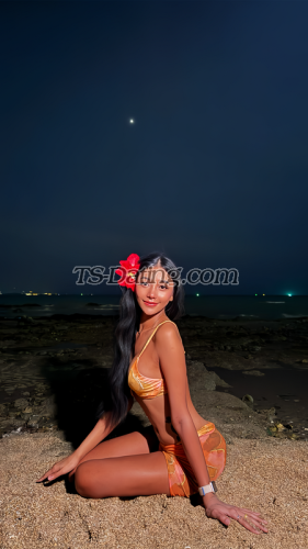 trans girl Bellsweet 9994779