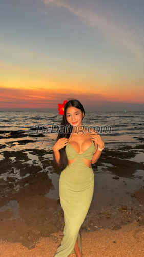 trans girl Bellsweet 9995068