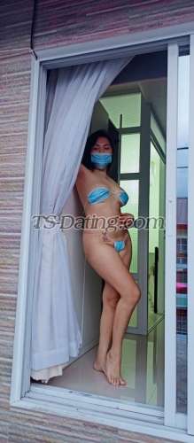 trans girl BigHotyHorny 1480270