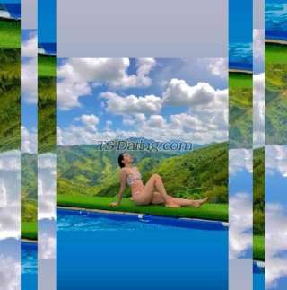 trans girl Blitzy 2018481 trans girl Blitzy 2018481