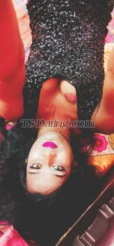 trans girl Bombshellbab 3053781