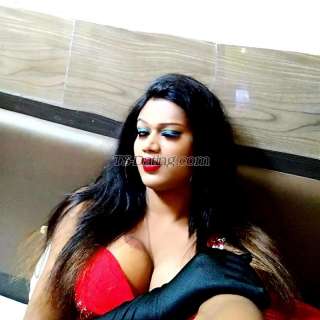 trans girl Bombshellbab 3544798