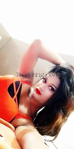 trans girl Bombshellbab 3929188