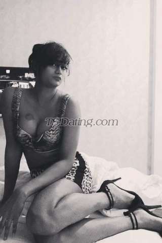 trans girl Bombshellbab 3932787