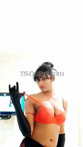 trans girl Bombshellbab 5052986