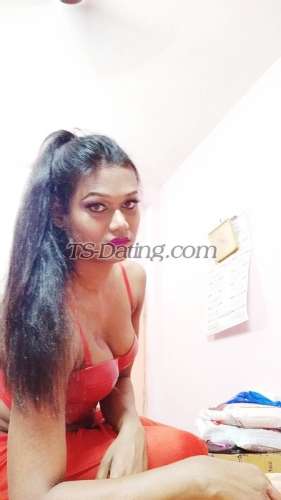 trans girl Bombshellbab 7644418