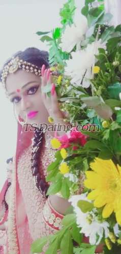 trans girl Bombshellbab 7805970