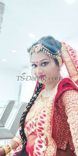 trans girl Bombshellbab 7887737