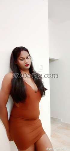 trans girl Bombshellbab 8054475