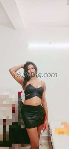 trans girl Bombshellbab 8992847