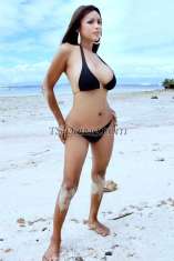 Bombshellxx Cebu Transex JETZT IN CEBU MACTAN PHILIPPINEN können Sie mich unter +639177828762 erreichen. Suchen Sie nach einer realeren Begegnung in der Nähe dessen, was Sie sich vorstellen? Stellen Sie sich vor, dass alles, was Sie wirklich wollten, ist, real zu sein und mit jemandem zusammen zu sein.... Jemanden, der weiß, was Sie brauchen... Ihr größtes Verlangen ohne Zögern oder Hektik zu äußern.... dann müssen Sie nur noch zuhören, denken und entscheiden. Ich bin der Meinung, dass die Schöpfung des ästhetischen Mannes immer noch ein Mensch ist, der versteht, was Sie wollen. Mehr als Ihr Geld ist ein Service von beiden Geschlechtern, den ich gerne teilen möchte. Nichts zu verlieren, da alles, was mir wichtig ist, Ihre totale Zufriedenheit und angenehme Garantie ist ... Keine Einstellung, nur Spaß haben ... Ich weiß, dass Sie suchen und versuchen, aber Denken Sie immer daran, dass Erfahrung der beste Lehrer ist .... gerade gelernt und gewonnen. Zögern Sie nie, mich zu versuchen, denn alles, was ich will, sind Sie .... JETZT HABEN SIE DEN GRUND, MICH ZU HABEN