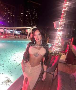 trans girl Bordin 8116092