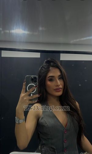 trans girl Breyhottie 4496639