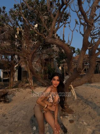 trans girl BriannaMolly 5286975