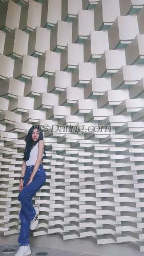 trans girl babyP 8648942