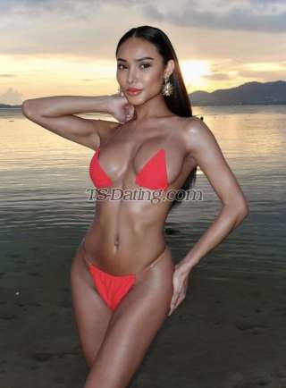 trans girl babybee 0813838