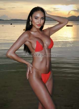 trans girl babybee 0813868