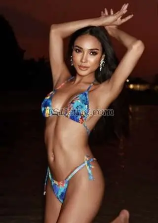 Shemale babybee 3245699