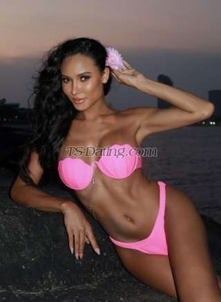 trans girl babybee 6017506