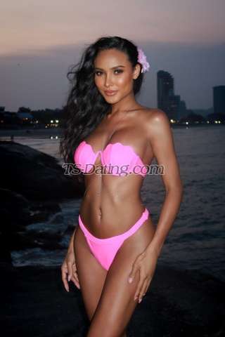 trans girl babybee 6017531