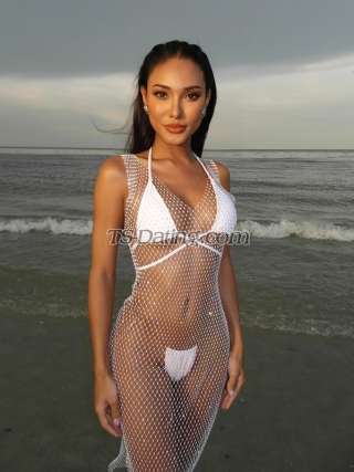 trans girl babybee 6186902