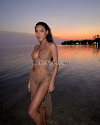 trans girl babybee 7366760