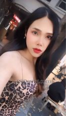 bambam26 Phuket Transex ⛔️I’m not send naked or nude pics ⛔️
Hi my name is bamberry 23 164/57 from Thailand 🇹🇭

Nice to meet you I'm friendly,kind and playful.I don’t feel as top but I can try if you want. I'll make you happy, as long as we respect each other. Let’s meet !!

✅Safe sex only (condom)✅
❌ No Smoke 💨 🧊💉❌
🚫 Games,Disrespect,Drama = block 🚫

IG : bbamberry
Line : bbbbb2642
WhatsApp: +66804625015