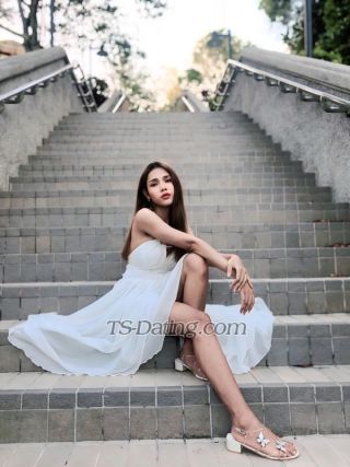 trans girl bambam26 4967318