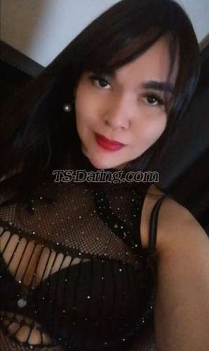 trans girl beautiful24 6303183 trans girl beautiful24 6303183