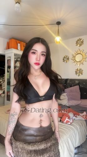 trans girl bellajelo99 8987087 trans girl bellajelo99 8987087