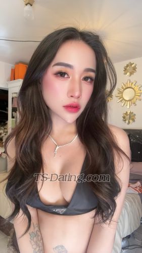 trans girl bellajelo99 8987107 trans girl bellajelo99 8987107