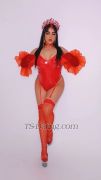 bombaCat Agadir Transex 

 Courbes irrésistibles qui éveillent ton désir | Puissance qui comble toutes tes envies | Plaisir pur et sans limites

 Espace privé et chic, discret et luxueux

 Mes services

 Plaisir intense & libération totale

 Jeux coquins et moments audacieux

 Poppers pour intensifier les sensations

 Jeux de rôle & fantasmes brûlants

 BDSM pour les amateurs de domination

 Séances de féminisation sensuelles

 Disponibilité

Je viens à toi ou tu viens à 



✅ Uniquement pour clients sérieux


 Laisse-moi devenir ton fantasme… et bien plus encore