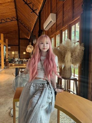 trans girl bunni 1018279