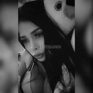 Shemale CAMILALEON 7227517