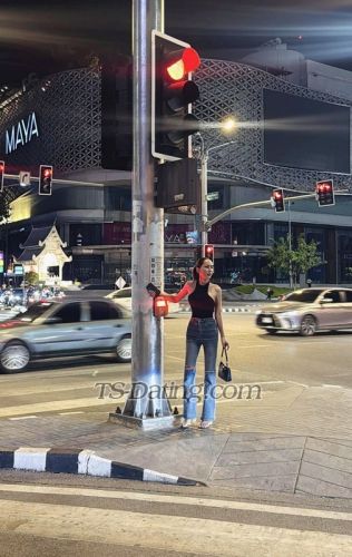 trans girl CARAKISSS 8907914 trans girl CARAKISSS 8907914