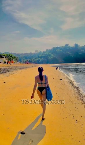 trans girl CallMeAnneX00 8148983 trans girl CallMeAnneX00 8148983