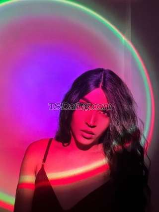 trans girl Camilabrazil 7039301 trans girl Camilabrazil 7039301