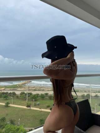 trans girl Camilabzts 8697126