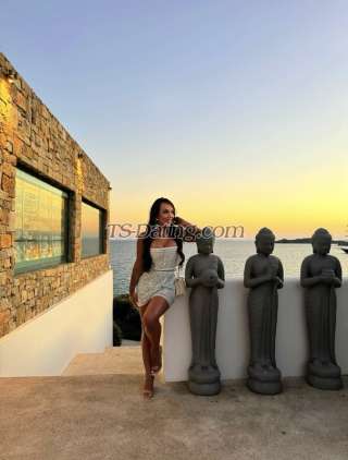 trans girl CamileTs 8674980