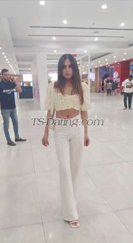 trans girl Candice24 3058493