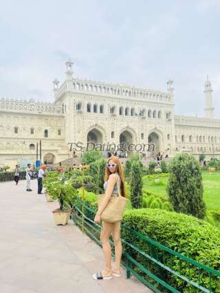 trans girl Candlle 3753715