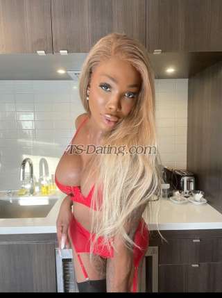 trans girl CandyEbony 6444651 trans girl CandyEbony 6444651