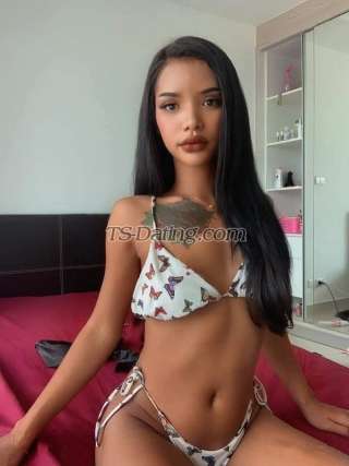 trans girl Candythai11 8006540
