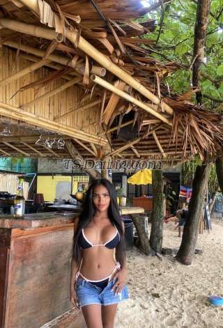 trans girl Carasins 4527571