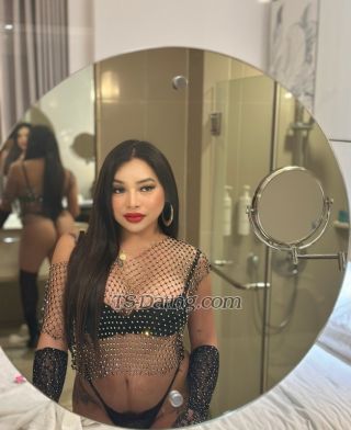trans girl Carmella2890 8396006