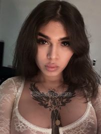 Carolina Xl Aarhus Viby J Transex 🌸About me 🌸
I am Carolina, a Spanish trans girl 🇪🇸 of South American origin, I am 26 years old, I have a nice trained body with a real endowment of 20 cm, a round ass which you can also use😌 I will be in Viby J    for a few day, if you are looking for someone charismatic and at the same time very kinky you have found the right one, I like to please and also receive pleasure both in sex and in a good conversation, I will be your best lover, I go out, I also have my discreet apartment in  Aarhus viby J    with easy parking, if you want long parties I can also accompany you and celebrate together, write me by SMS or WhatsApp for more information ℹ️.