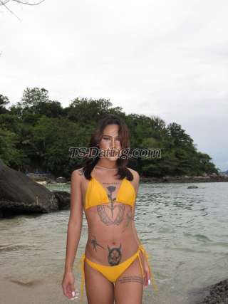 trans girl Cat2544 4308891