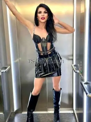 Shemale Ccarioca 3645812